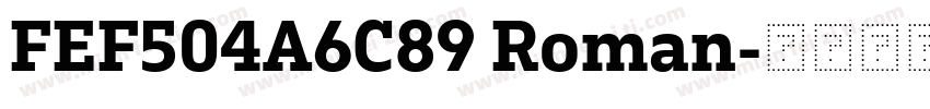 FEF504A6C89 Roman字体转换